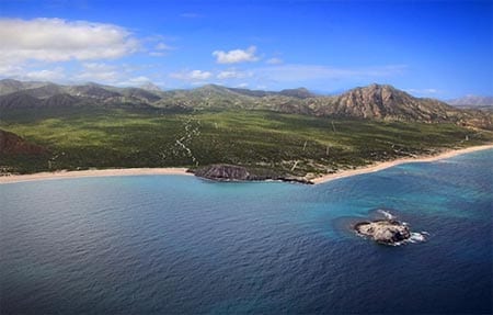 Azul de Cortez