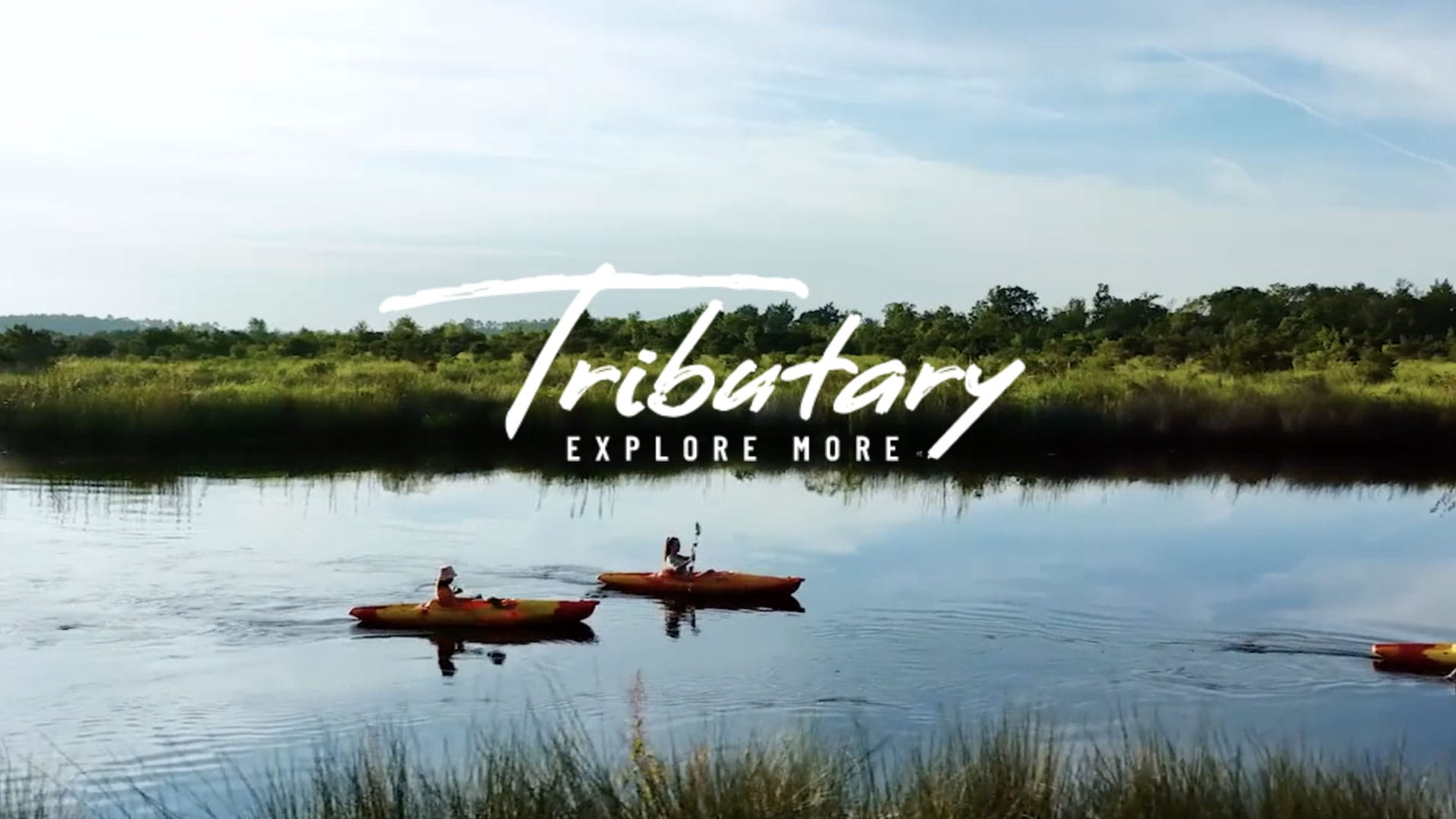 Tributary Branding Design