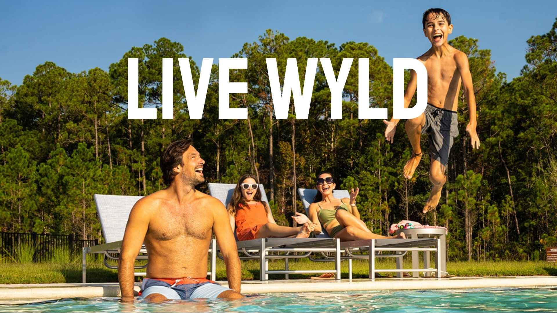 Live Wylder Branding Design